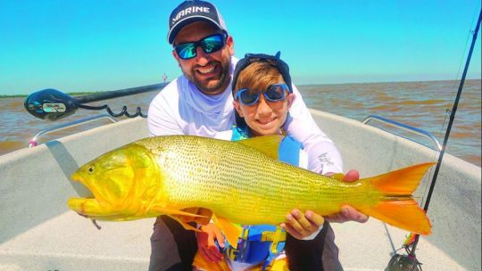 Dorados a fondo entre palos y canaletas