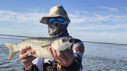 Se va febrero: ¿qué pasa con el pique?