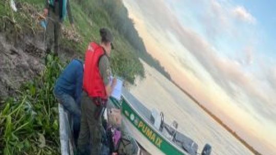 Pesca ilegal: sin licencia, en campos privados y con especies vedadas