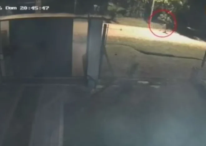 La emboscó y la apuñaló hasta matarla: un audio registró sus gritos