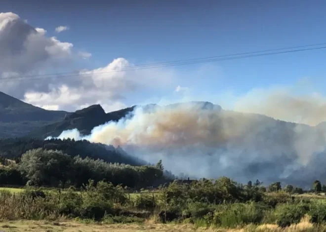 Precaución en la Ruta Nacional 259 por el incendio La Tapera