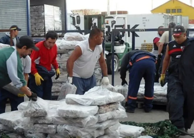 Puerto Deseado vive una zafra histórica con más de 31.000 toneladas de calamar