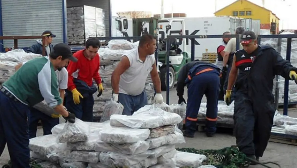 Puerto Deseado vive una zafra histórica con más de 31.000 toneladas de calamar