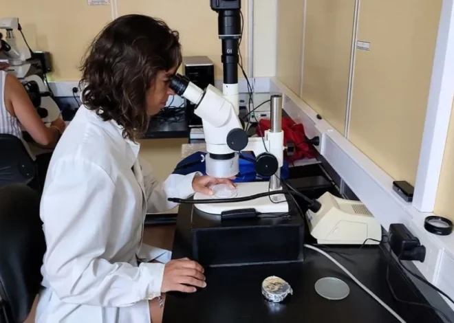 Científicos del Conicet analizan la presencia de microplásticos en el Golfo Nuevo