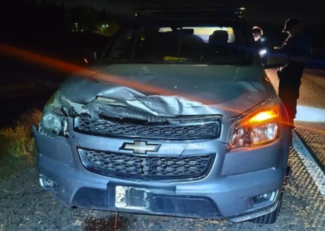 Un vehículo colisionó contra un potrillo cerca de La Herradura