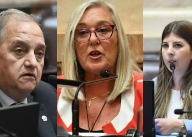 Cómo votaron los senadores chubutenses las modificaciones a Ley de Glaciares