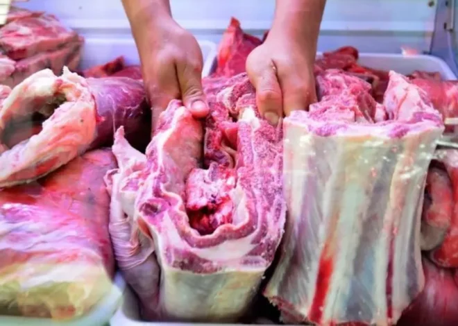 Barrera sanitaria en Santa Cruz: la Justicia Federal anuló la resolución del SENASA que permitía el ingreso de carne con hueso