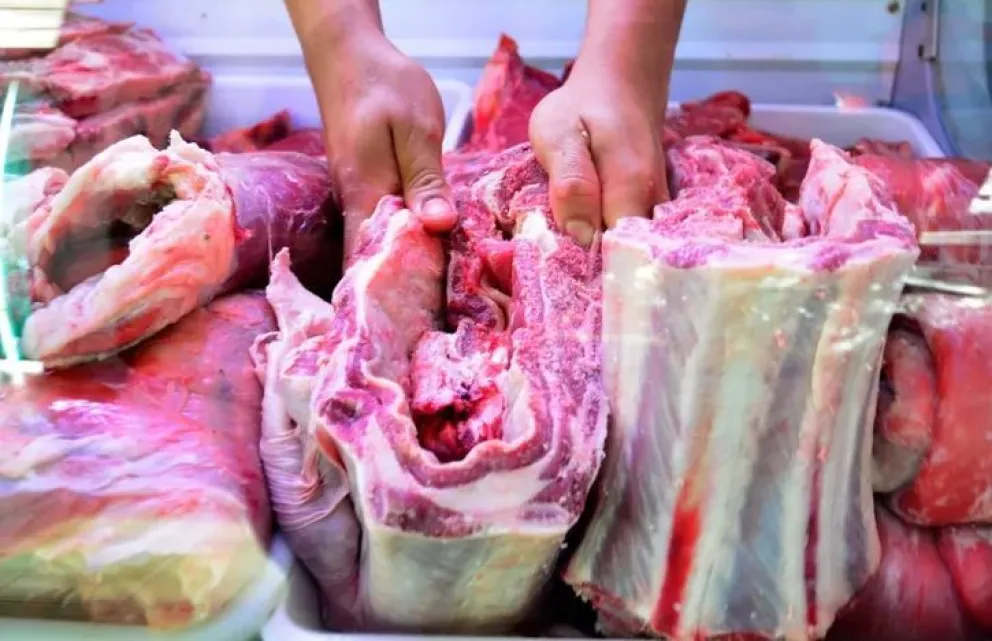 Barrera sanitaria en Santa Cruz: la Justicia Federal anuló la resolución del SENASA que permitía el ingreso de carne con hueso