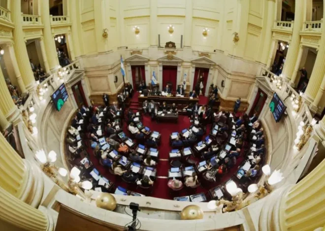 El Senado convirtió en ley la reforma laboral