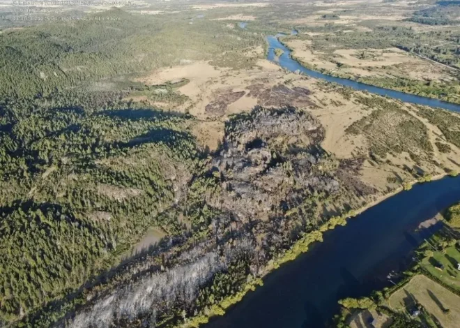Incendios en Los Alerces: brigadistas trabajan en dos focos activos