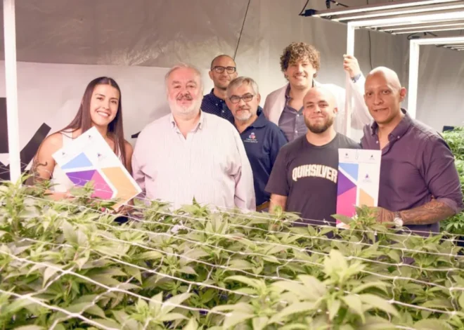 Comodoro impulsa planta piloto de aceite cannábico para uso veterinario