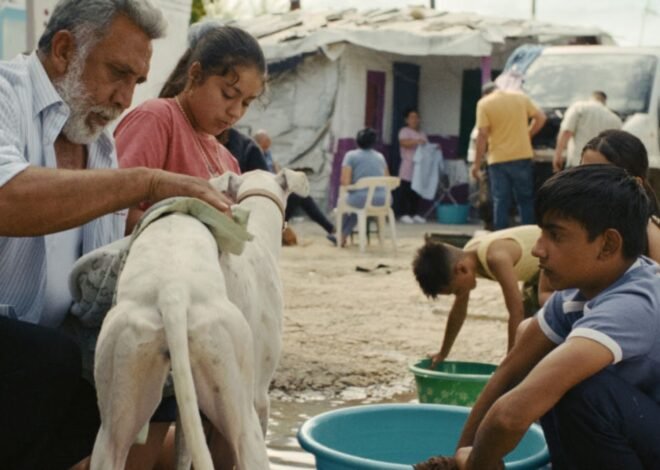 Filmin estrena Ciudad sin sueño: el triunfo de la Cañada Real