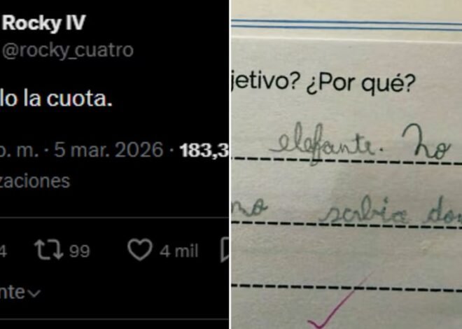 Revisó la tarea de su hijo y vio un error grosero de la mestra en la corrección: “un palo la cuota”