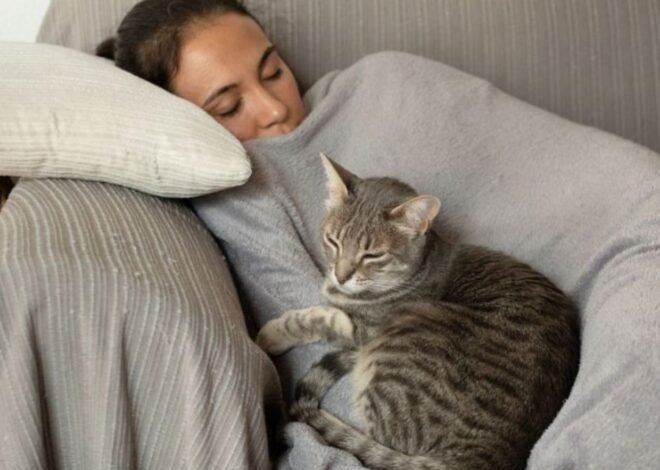 En el Día Mundial de la Siesta: ¿los jujeños duermen o prefieren seguir de largo?