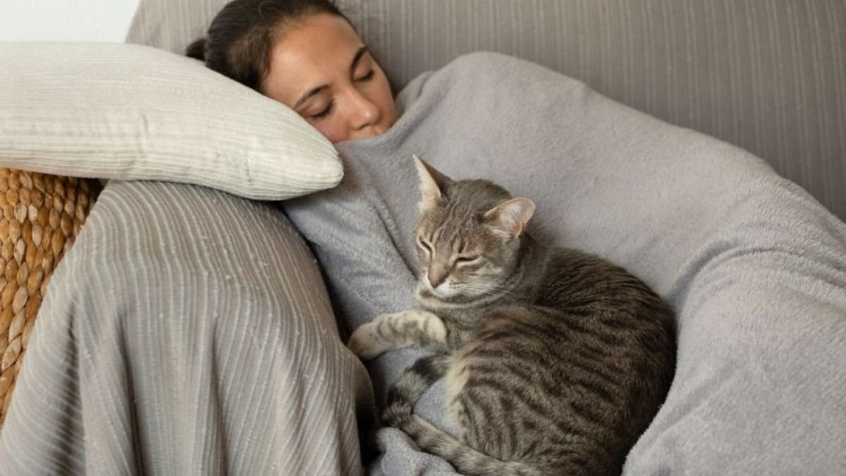 En el Día Mundial de la Siesta: ¿los jujeños duermen o prefieren seguir de largo?