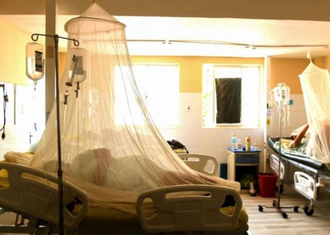 Preocupa en Salta las muertes por dengue y chikungunya en Bolivia: “10 días de cierre de frontera vendrían bien”