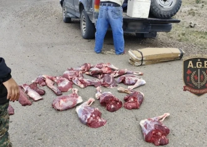 Secuestran carne de guanaco y un arma en un control sobre la Ruta 3