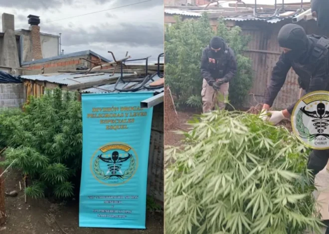 Desarticulan punto de venta de drogas tras un allanamiento en Esquel