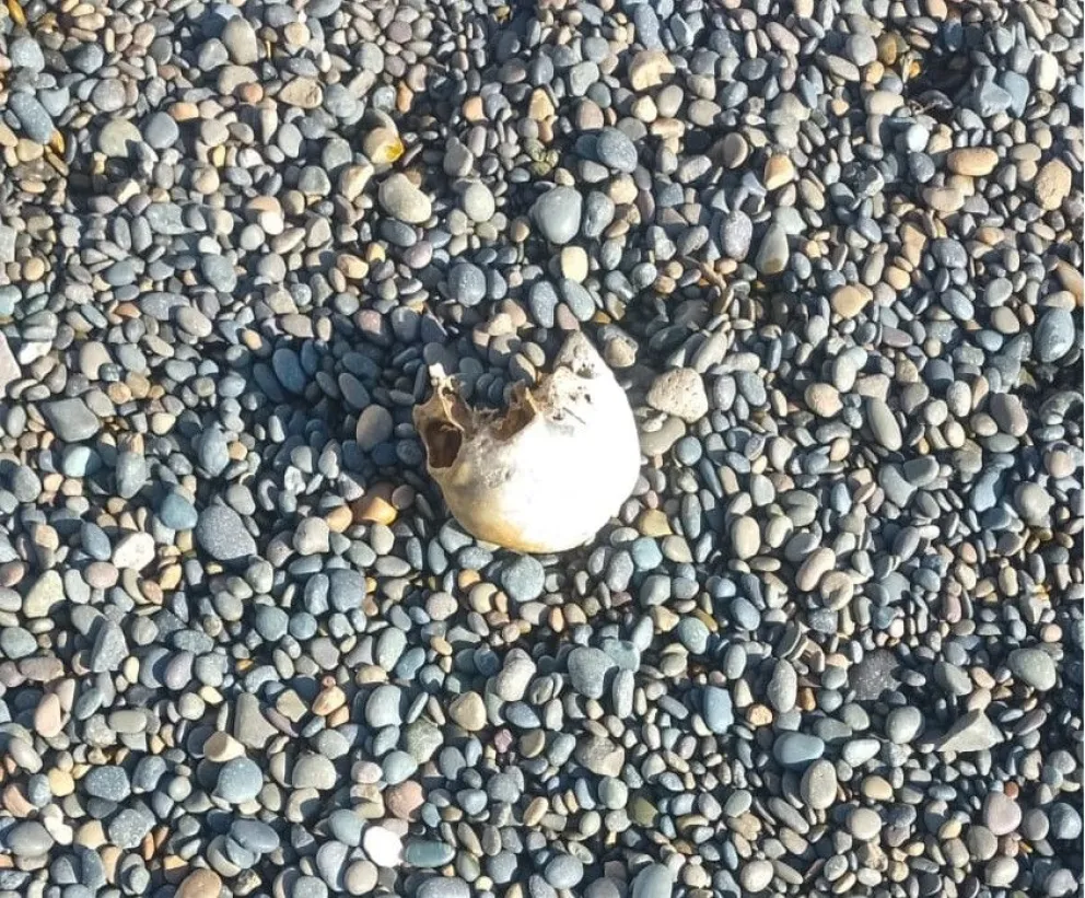 Encontraron un cráneo humano en la costanera de Comodoro
