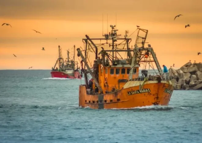 Chubut impulsa un esquema para la pesca inspirado en el modelo petrolero