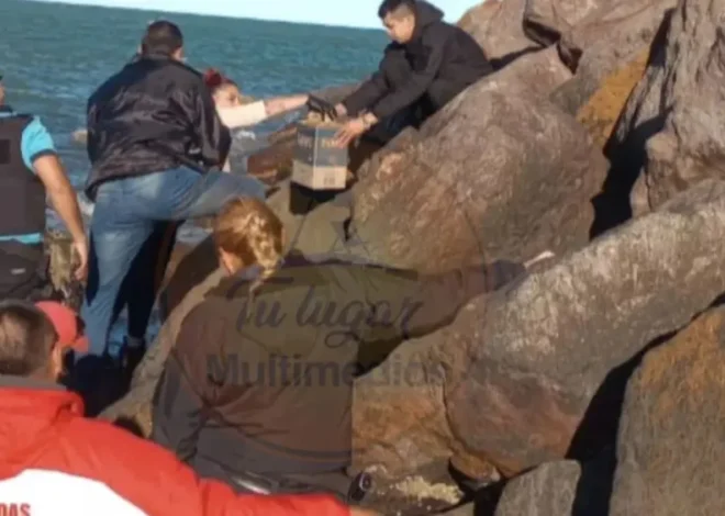Hallazgo estremecedor en la costa de Chubut: encontraron un cráneo humano en Playa Unión