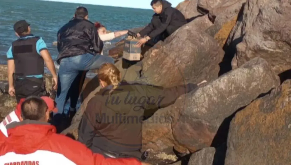 Hallazgo estremecedor en la costa de Chubut: encontraron un cráneo humano en Playa Unión
