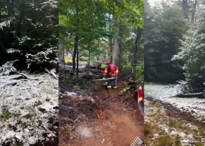 Nevadas en Cholila favorecen el control de los incendios forestales