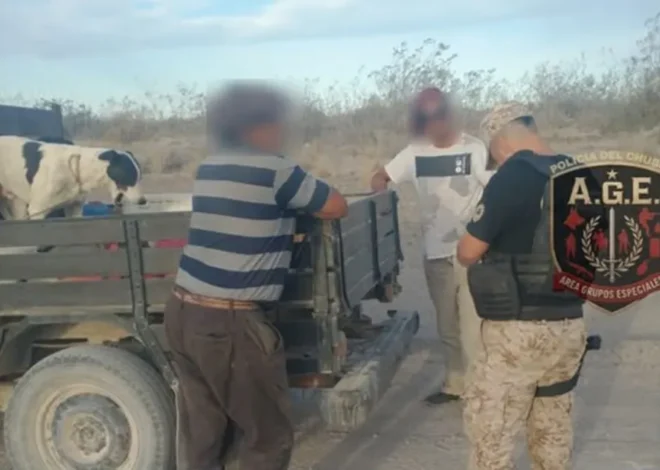 Puerto Madryn: detienen a un hombre con pedido de captura en control de ruta