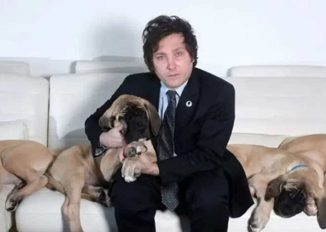 Falleció Robert, uno de los perros del presidente Javier Milei en la Quinta de Olivos