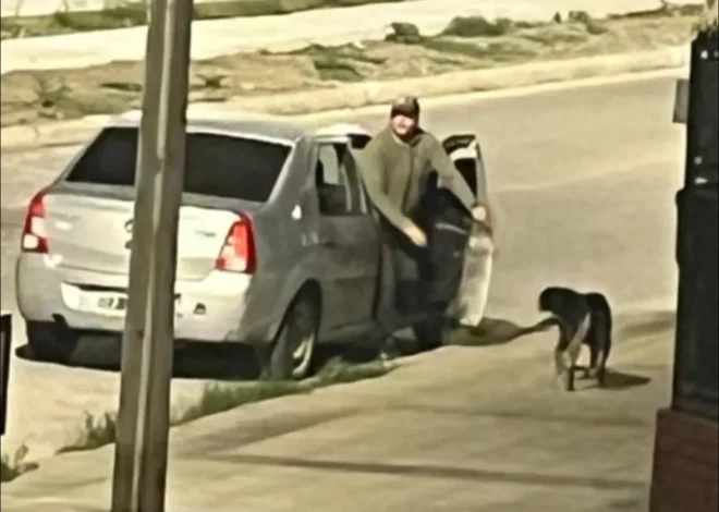 Desvalijaron un local de venta de indumentaria a pocas cuadras de una comisaría