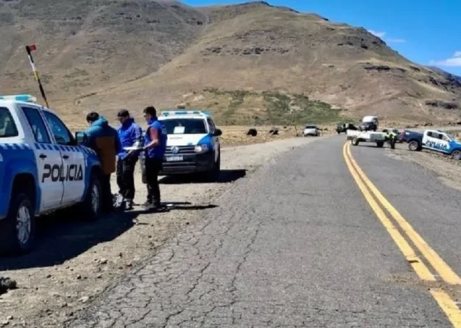 Murió un peatón tras ser atropellado en la ruta cerca de Caviahue