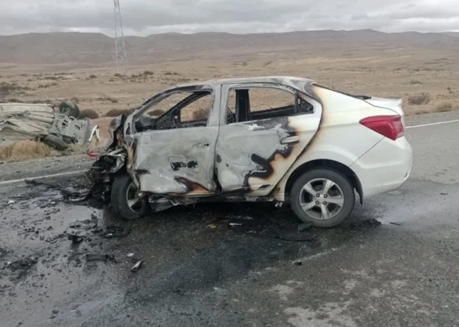 Choque fatal en la Ruta Provincial 11 cerca de El Calafate