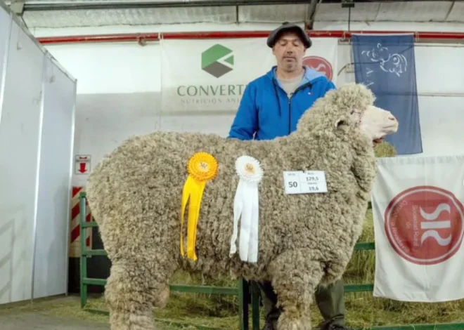 Histórico remate en la Rural: una hembra de Cabaña Floradora alcanzó los 32,5 millones de pesos