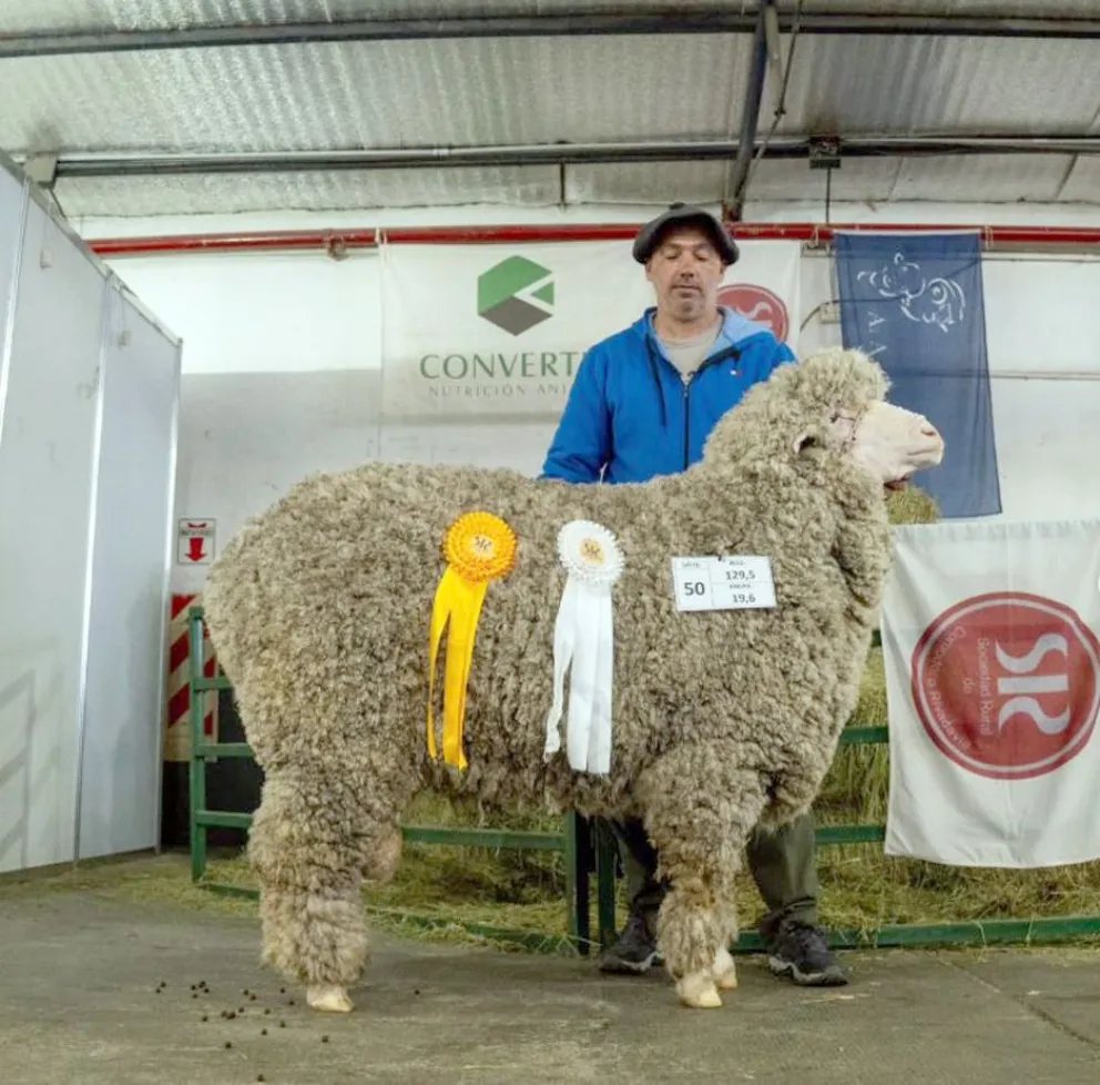 Histórico remate en la Rural: una hembra de Cabaña Floradora alcanzó los 32,5 millones de pesos