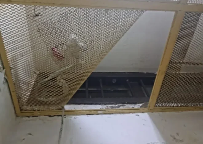 Internos de una comisaría intentaron fugarse serruchando un barrote