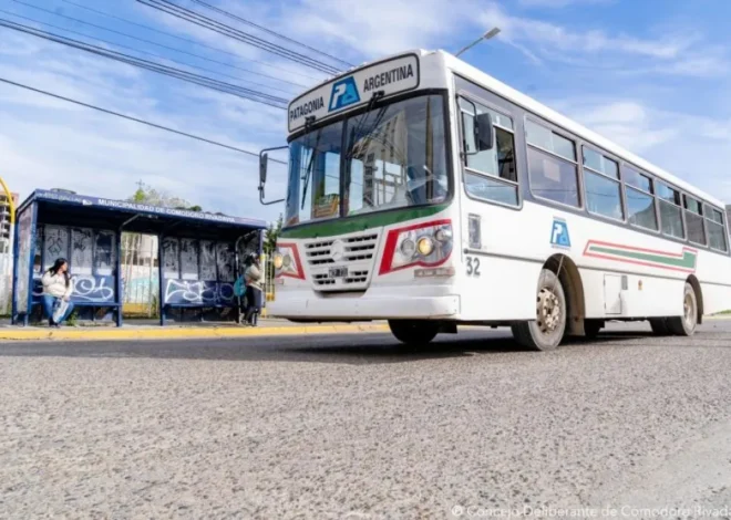Habrá colectivos en Comodoro: dos empresas pagaron sueldos y el servicio funciona con normalidad
