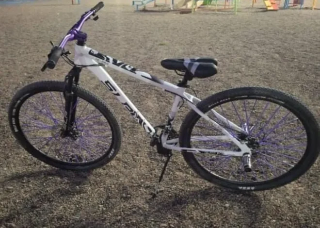 Piden colaboración para recuperar una bicicleta robada en Standard Norte