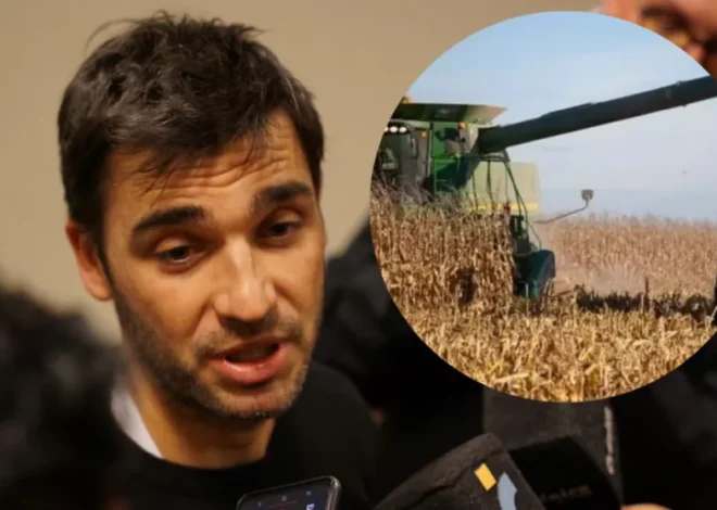 El Gobierno provincial propone una estrategia para revitalizar la actividad agropecuaria