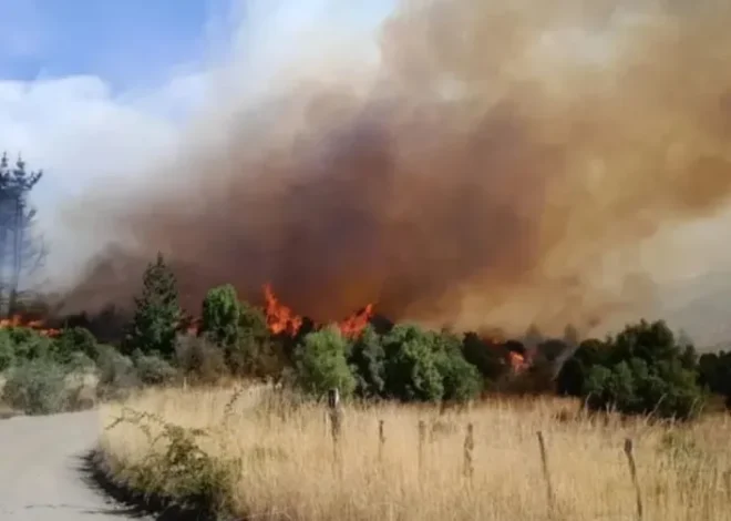 Incendio en Nahuelpán: la causa se encamina a juicio oral y público