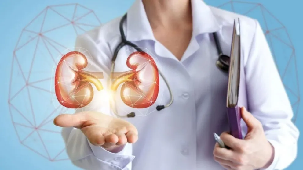 Día Mundial del Riñón: El 10% de los argentinos padece enfermedad renal