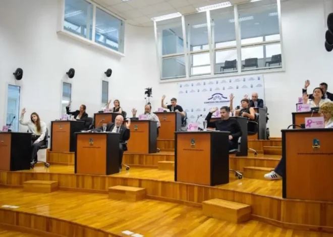 El Concejo Deliberante inició un nuevo ciclo con foco en seguridad, ambiente y la crisis habitacional