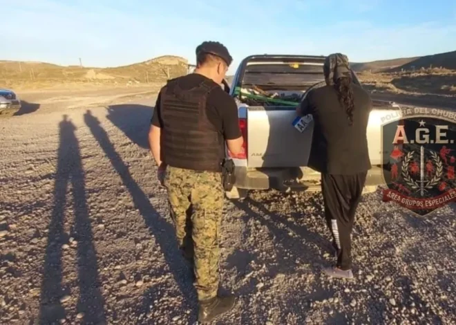 Secuestraron carne de guanaco y piche en la Ruta Provincial 39