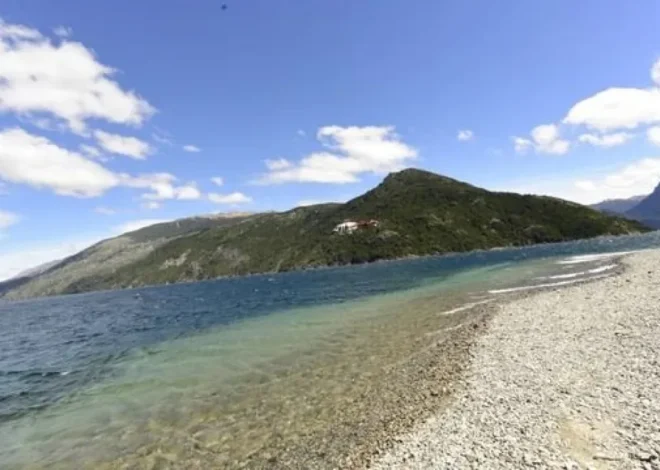 Parque Nacional Los Alerces: habilitan venta de leña para pobladores