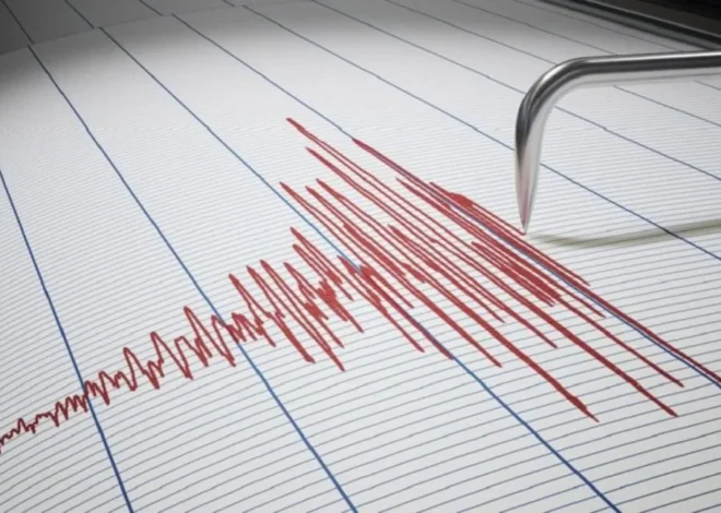 Sismo en Chile se sintió en Mendoza y La Rioja