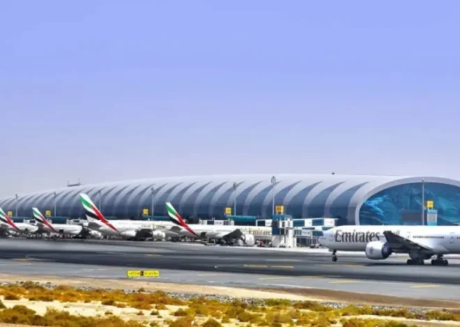 Confirmaron que 984 argentinos que estaban varados en Medio Oriente lograron regresar al país