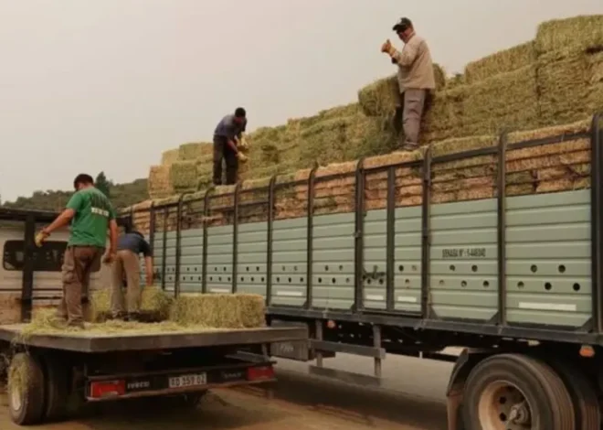 Cholila: entregan fardos de alfalfa para fortalecer la ganadería tras los incendios