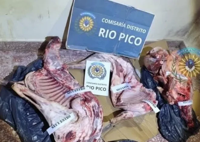 Río Pico: Secuestran carne ovina faenada ilegalmente en control de ruta