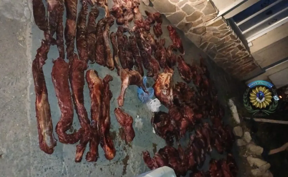 Secuestran 54 piezas de carne de guanaco en un operativo
