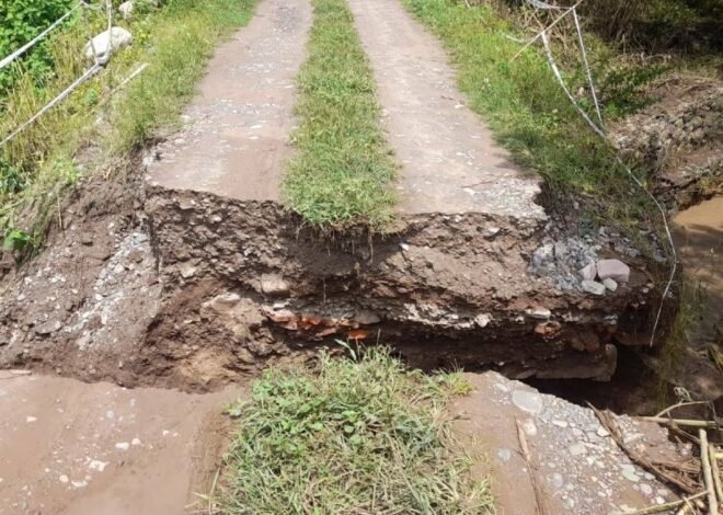 Nueve rutas están intransitables en Jujuy, hoy 12 de marzo: cuáles son