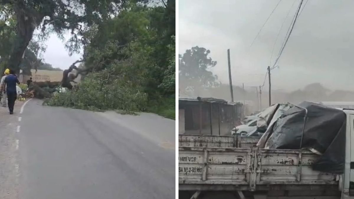 Alerta amarilla en Jujuy: recomendaciones para prevenir accidentes durante tormentas